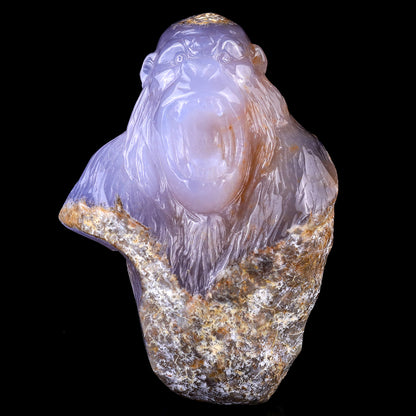 5.7" Blue Chalcedony Hand Carved Crystal Gorilla Head Sculpture Crystallumi