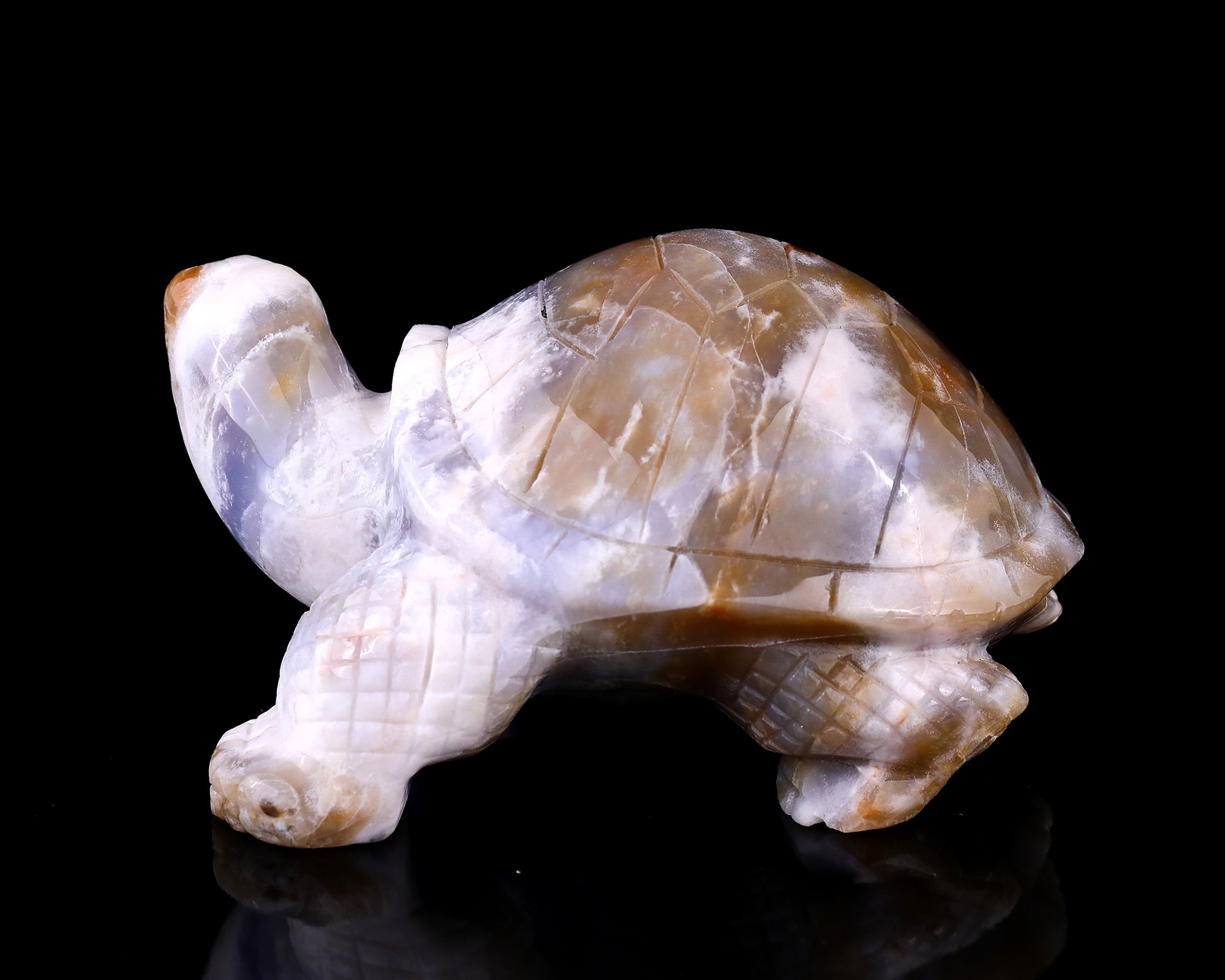 5.7" Blue Chalcedony Hand Carved Crystal Turtle Sculpture Crystallumi