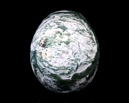 5.7" Moss Agate Hand Carved Crystal Realistic Skull Sculpture Crystallumi