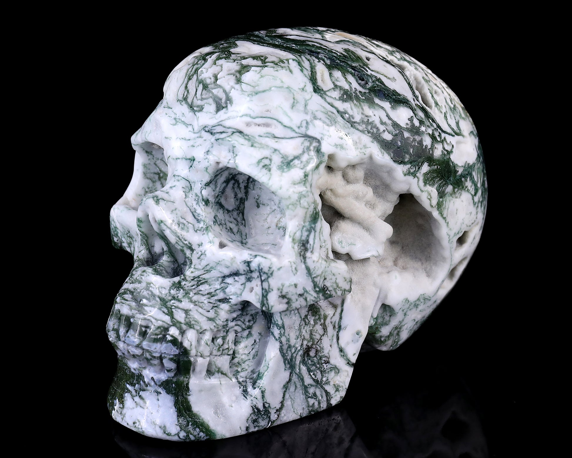 5.7" Moss Agate Hand Carved Crystal Realistic Skull Sculpture Crystallumi