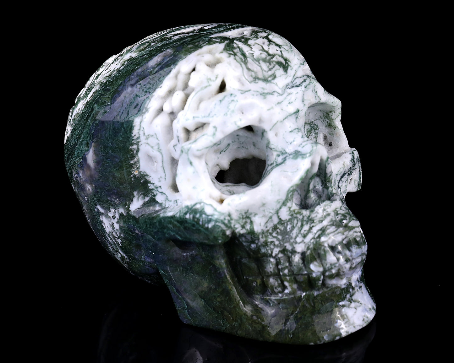 5.7" Moss Agate Hand Carved Crystal Realistic Skull Sculpture Crystallumi