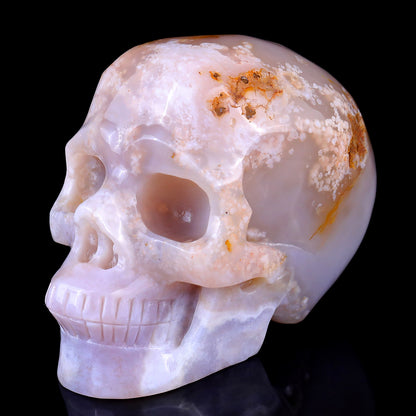 5.7" Sakura Agate Hand Carved Crystal Realistic Skull Sculpture Crystallumi