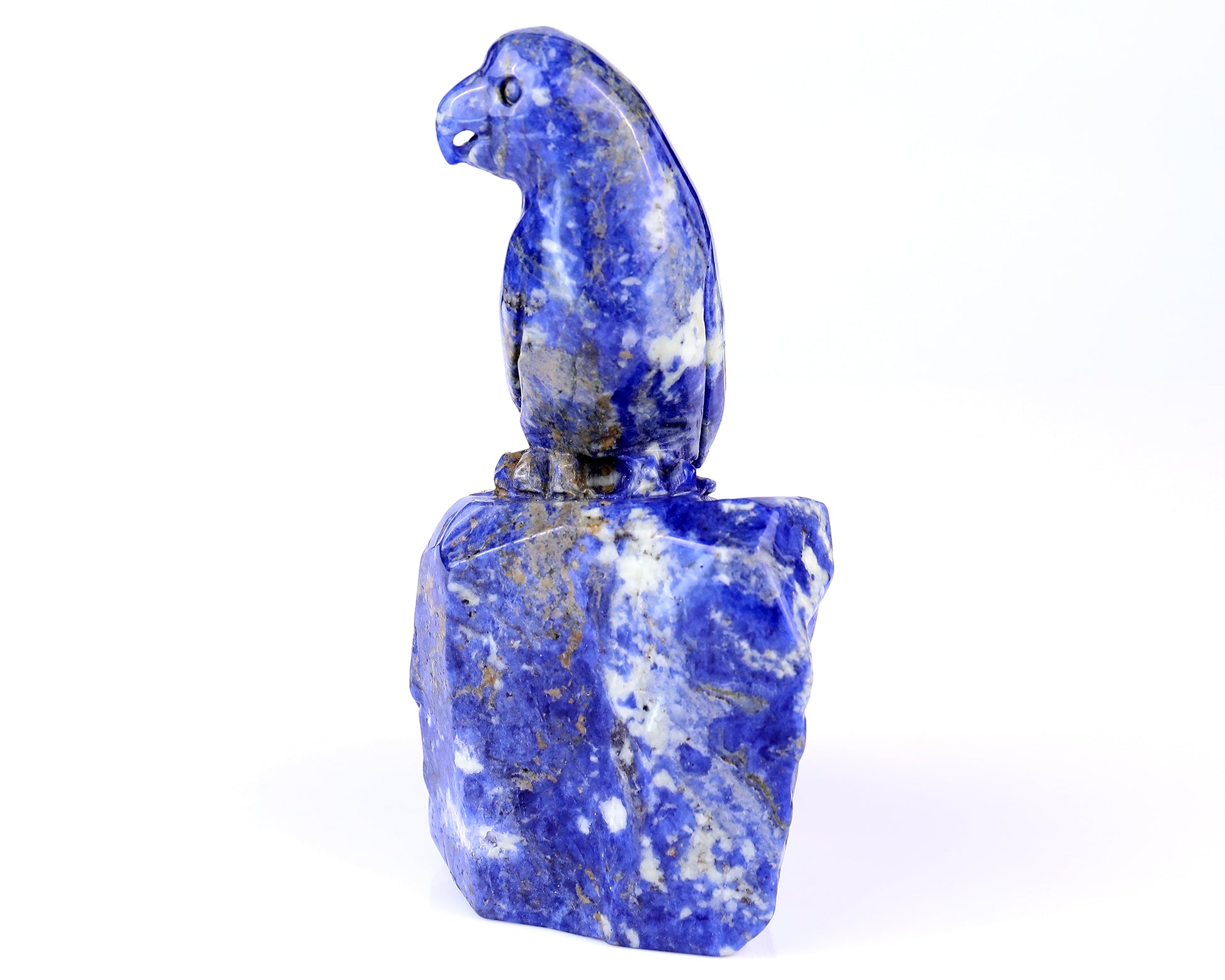 5.9" Sodalite Hand Carved Crystal Parrot Sculpture Crystallumi