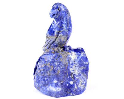 5.9" Sodalite Hand Carved Crystal Parrot Sculpture Crystallumi