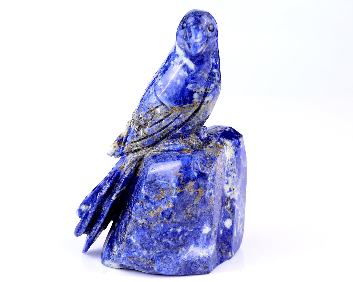 5.9" Sodalite Hand Carved Crystal Parrot Sculpture Crystallumi