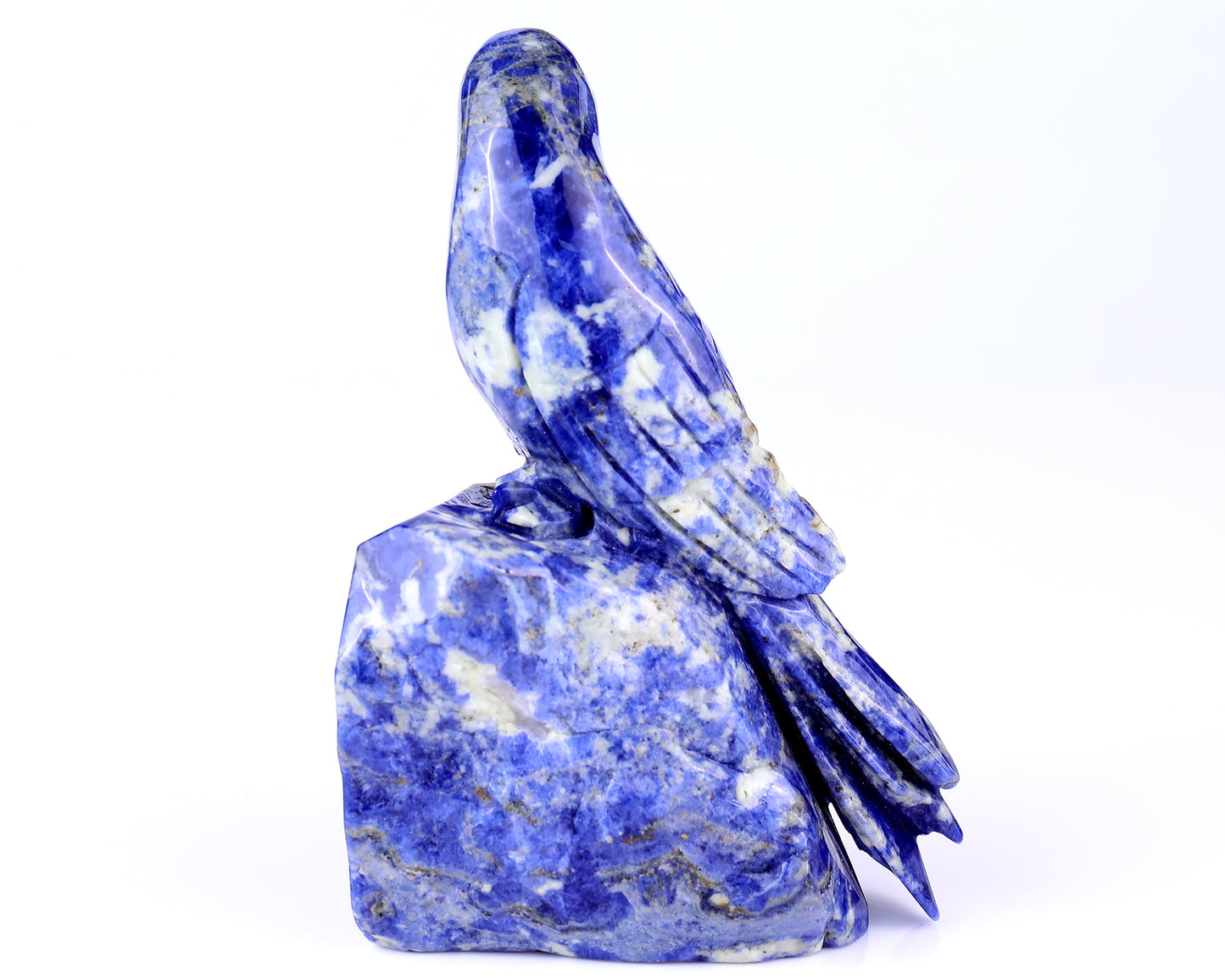 5.9" Sodalite Hand Carved Crystal Parrot Sculpture Crystallumi