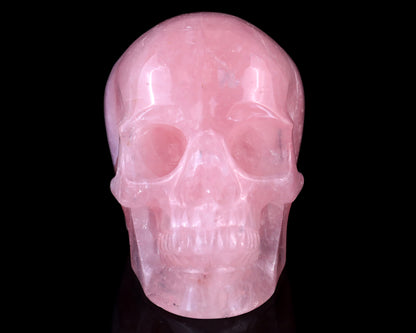 4.4" Rose Quartz Hand Carved Crystal Realistic Skull Sculpture