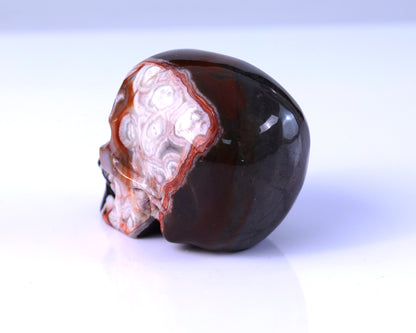 3.0" Lace Crazy Agate Hand Carved Crystal Realistic Skull Sculpture