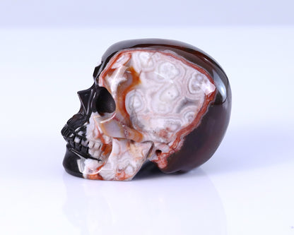 3.0" Lace Crazy Agate Hand Carved Crystal Realistic Skull Sculpture