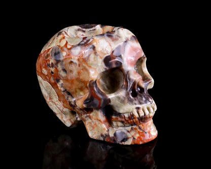 2.2" Coin Agate Hand Carved Crystal Realistic Skull Ball Stand Sculpture