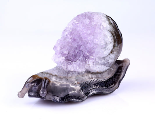 6.3" Amethyst Druse Agate Hand Carved Crystal Snail Sculpture Crystallumi