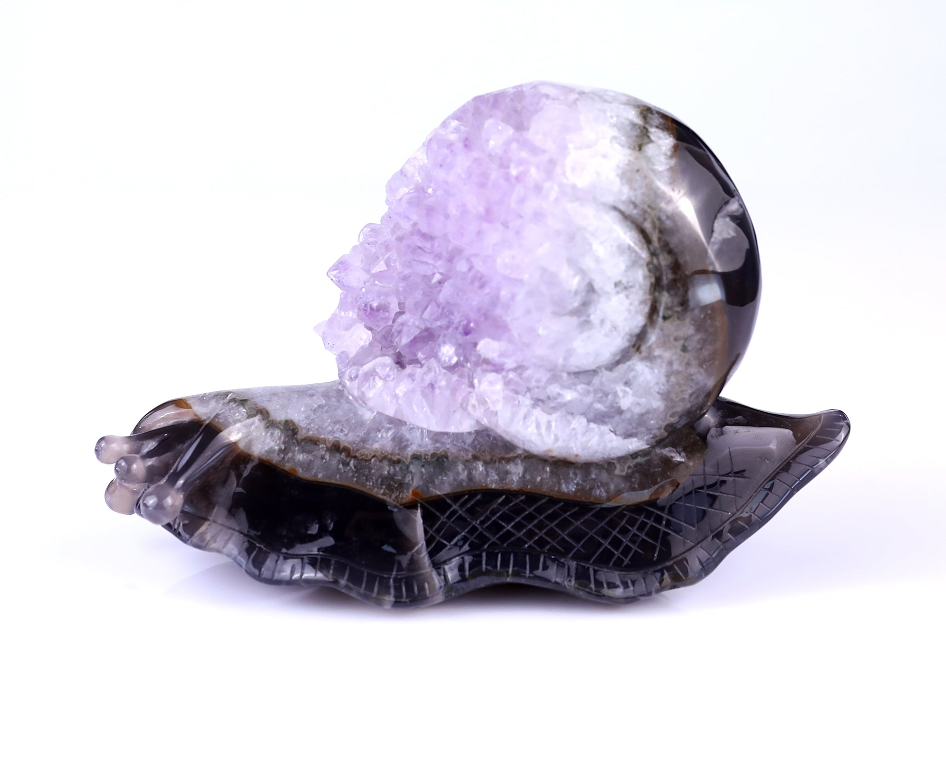 6.3" Amethyst Druse Agate Hand Carved Crystal Snail Sculpture Crystallumi