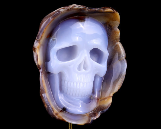 6.4" Blue Chalcedony Hand Carved Mineral Specimen Skull Sculpture Crystallumi