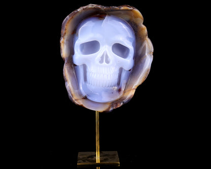 6.4" Blue Chalcedony Hand Carved Mineral Specimen Skull Sculpture Crystallumi