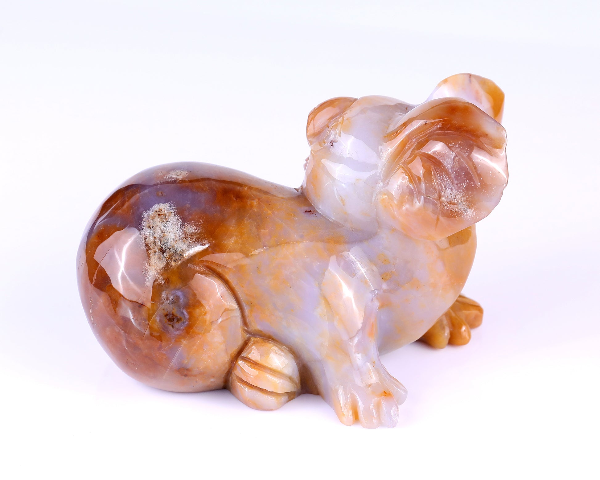 6.4" Chalcedony Hand Carved Crystal Koala Sculpture Crystallumi