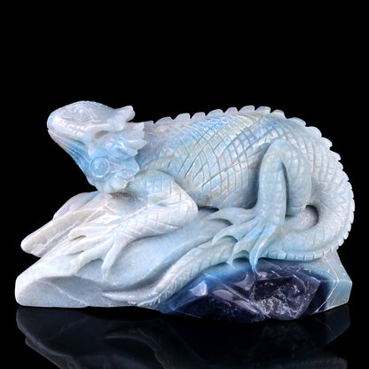 6.5" Amazonite Hand Carved Crystal Lizard Sculpture Crystallumi