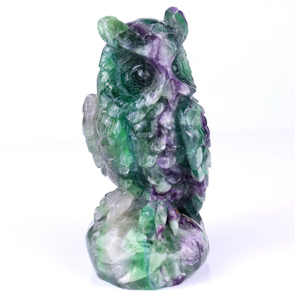 6.5" Fluorite Hand Carved Crystal Owl Sculpture Crystallumi