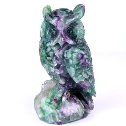 6.5" Fluorite Hand Carved Crystal Owl Sculpture Crystallumi