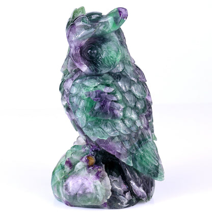 6.5" Fluorite Hand Carved Crystal Owl Sculpture Crystallumi