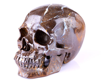 6.5" Opal Hand Carved Crystal Realistic Skull Sculpture Crystallumi