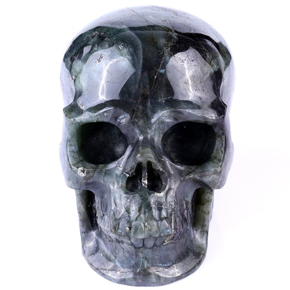 6.9" Blue Labradorite Hand Carved Crystal Realistic Skull Sculpture Crystallumi