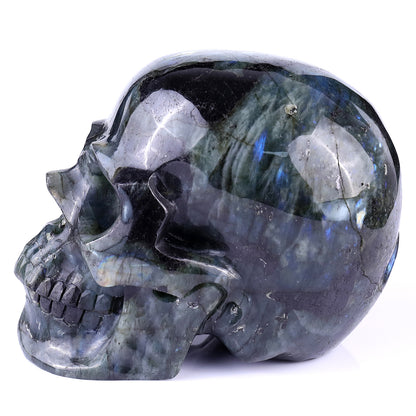 6.9" Blue Labradorite Hand Carved Crystal Realistic Skull Sculpture Crystallumi