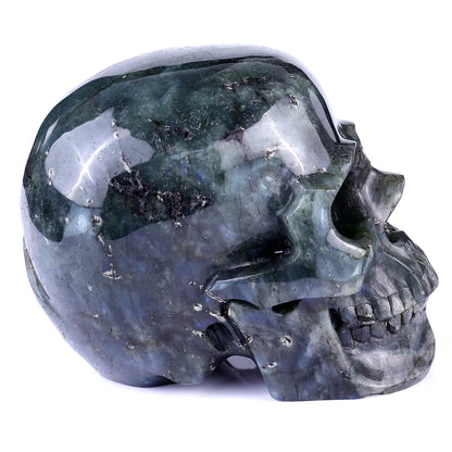 6.9" Blue Labradorite Hand Carved Crystal Realistic Skull Sculpture Crystallumi