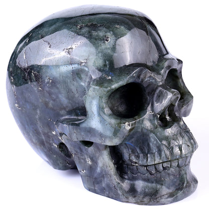 6.9" Blue Labradorite Hand Carved Crystal Realistic Skull Sculpture Crystallumi