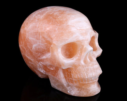 6.9" Orange Selenite Hand Carved Crystal Realistic Skull Sculpture Crystallumi