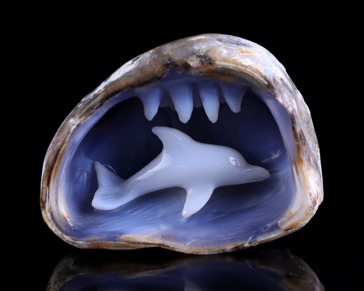 5.3" Blue Chalcedony Hand Carved Crystal Dolphin Sculpture