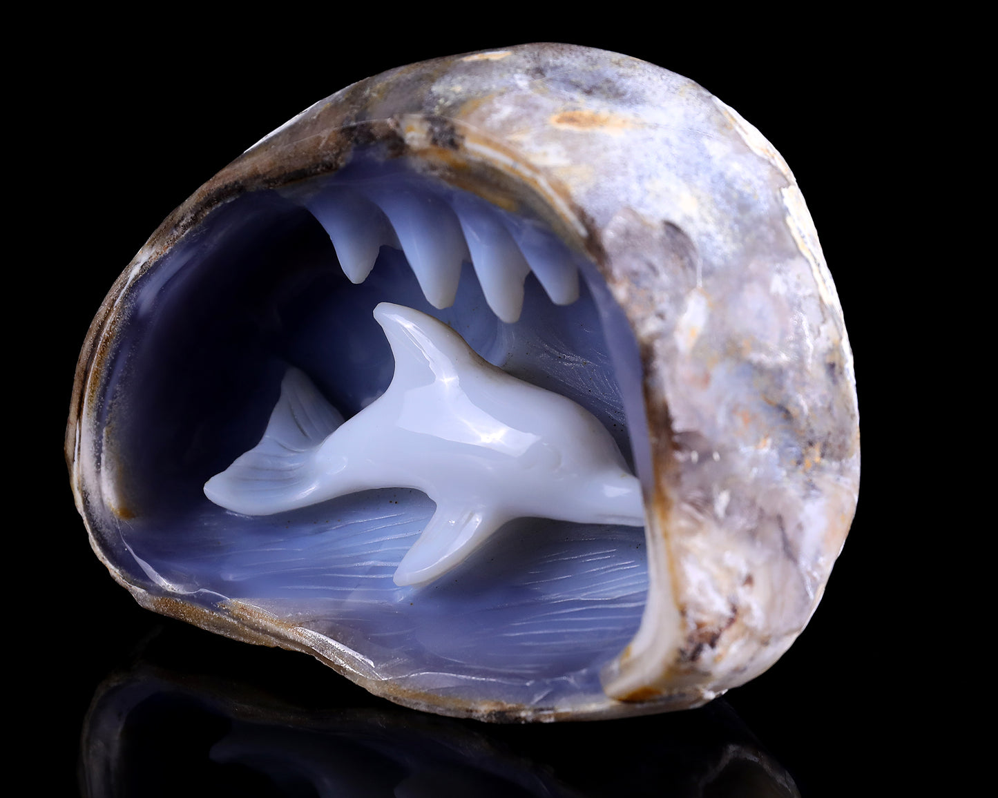 5.3" Blue Chalcedony Hand Carved Crystal Dolphin Sculpture