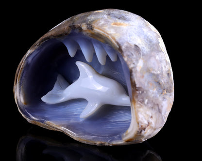 5.3" Blue Chalcedony Hand Carved Crystal Dolphin Sculpture