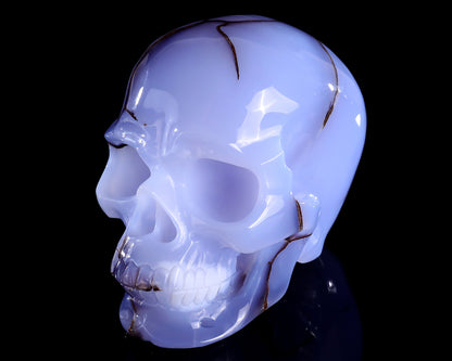 5.6" Blue Chalcedony Hand Carved Crystal Realistic Skull Sculpture