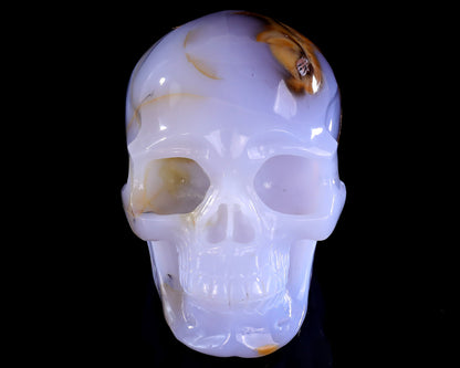 5.7" Blue Chalcedony Hand Carved Crystal Realistic Skull Sculpture