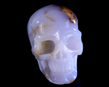 5.7" Blue Chalcedony Hand Carved Crystal Realistic Skull Sculpture