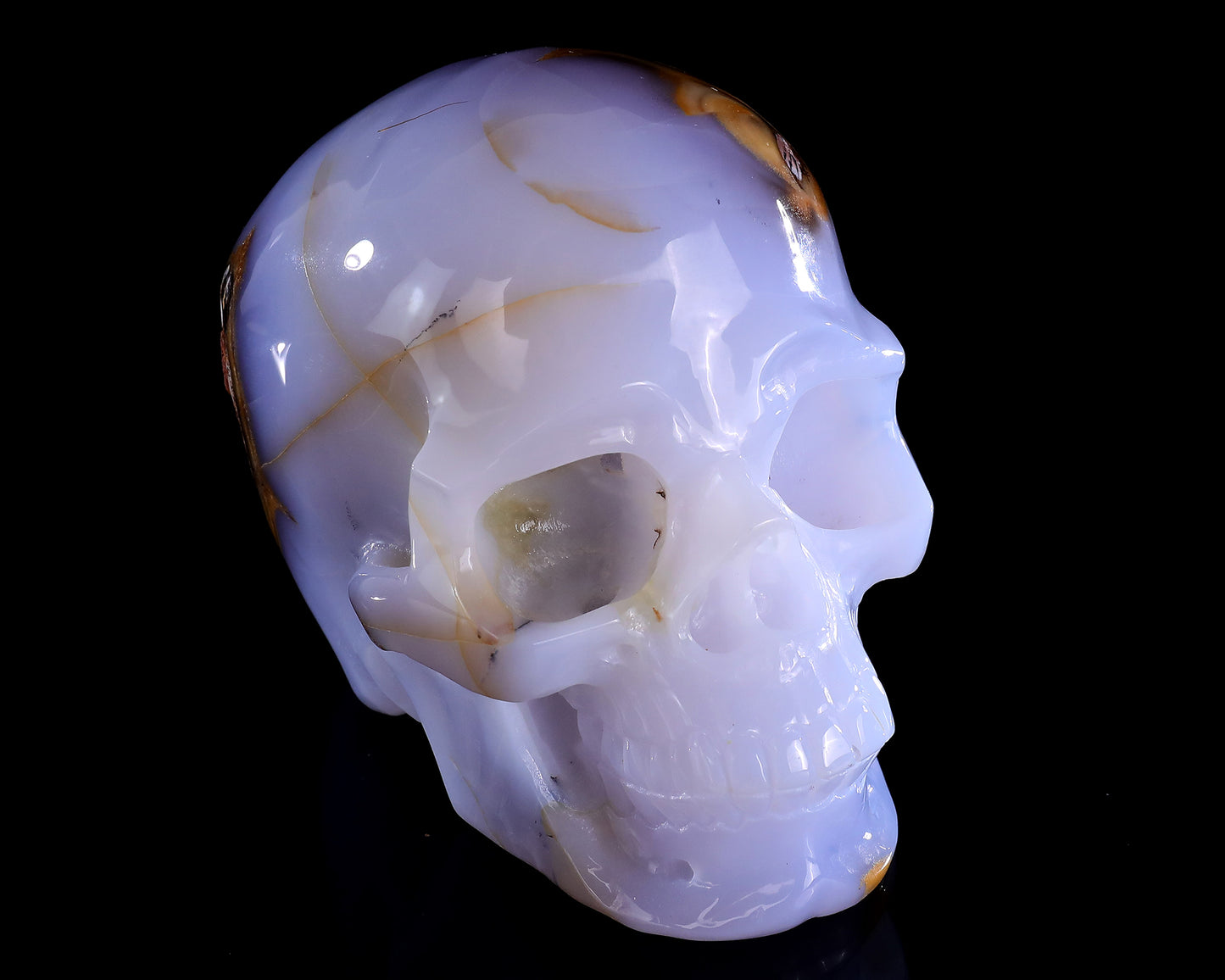 5.7" Blue Chalcedony Hand Carved Crystal Realistic Skull Sculpture