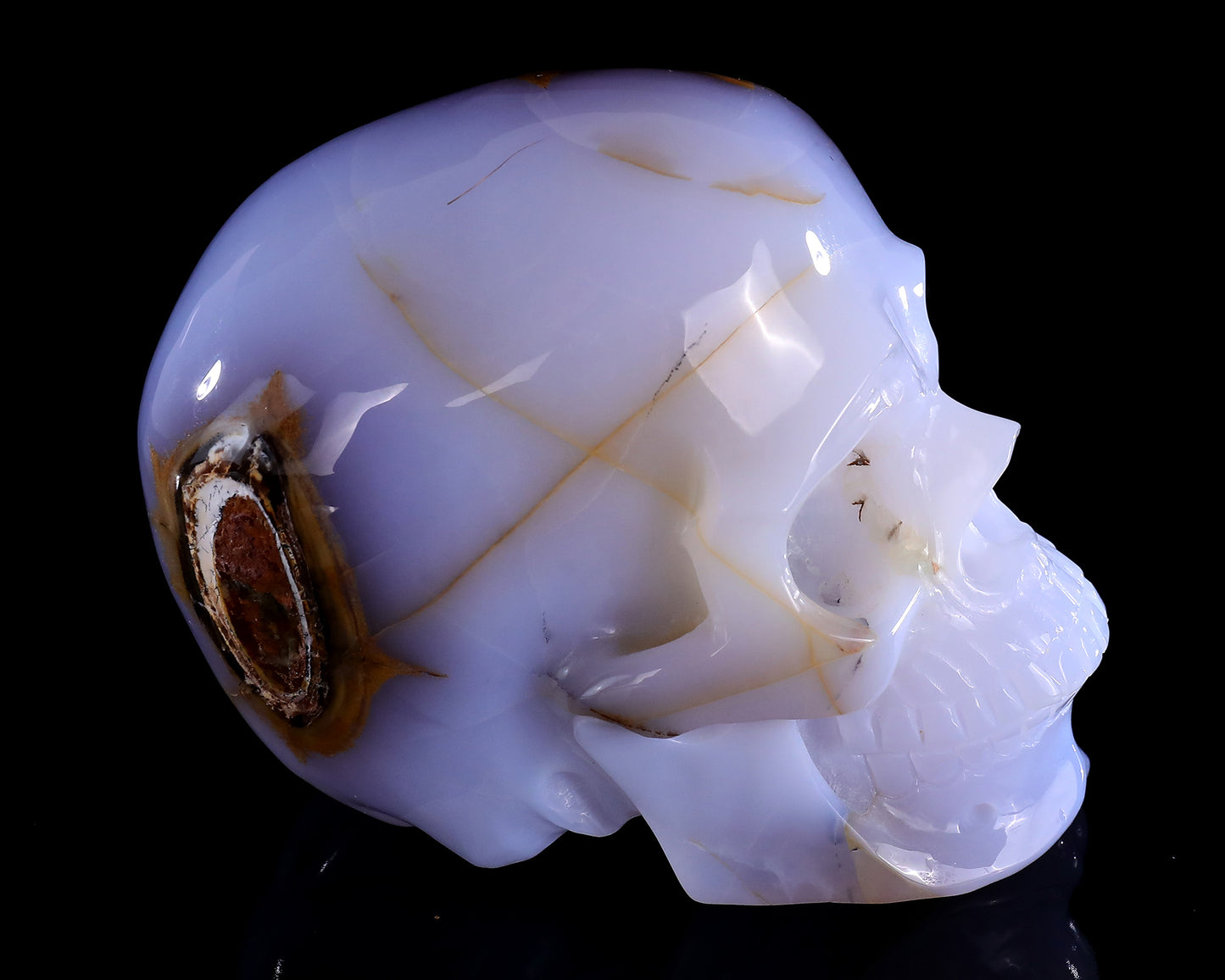 5.7" Blue Chalcedony Hand Carved Crystal Realistic Skull Sculpture