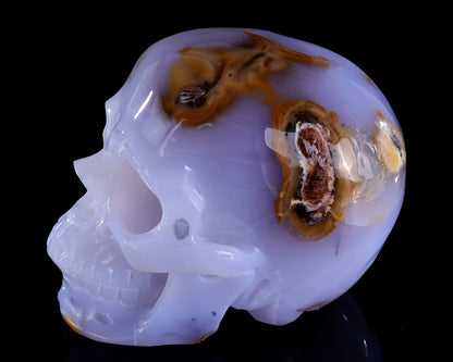 5.7" Blue Chalcedony Hand Carved Crystal Realistic Skull Sculpture