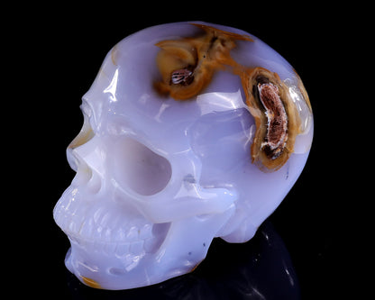 5.7" Blue Chalcedony Hand Carved Crystal Realistic Skull Sculpture