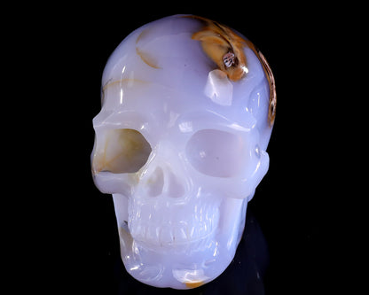 5.7" Blue Chalcedony Hand Carved Crystal Realistic Skull Sculpture