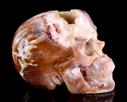 7.3" Chalcedony Hand Carved Crystal Realistic Skull Sculpture