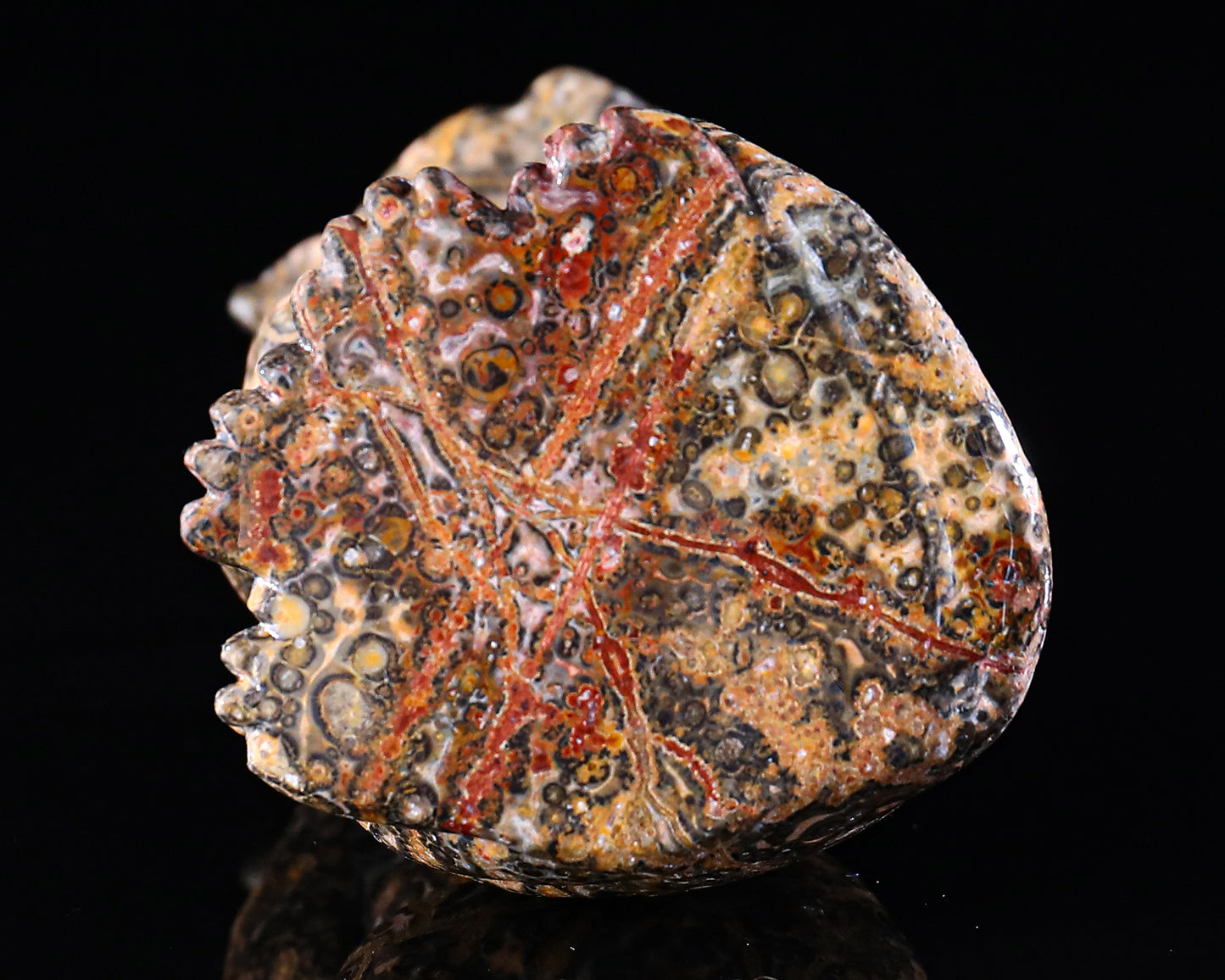 5.0" Leopard Skin Jasper Hand Carved Crystal Leopard Sculpture