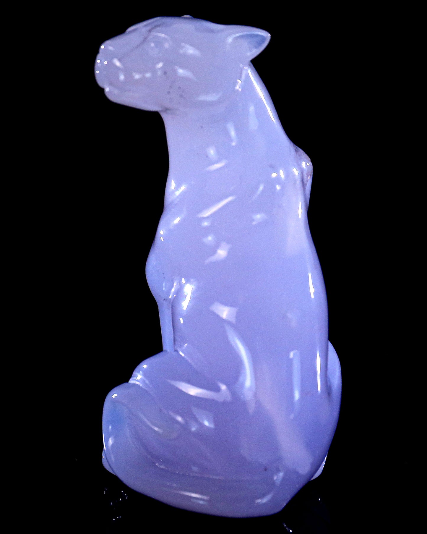 3.0" Blue Chalcedony Hand Carved Crystal Leopard Sculpture