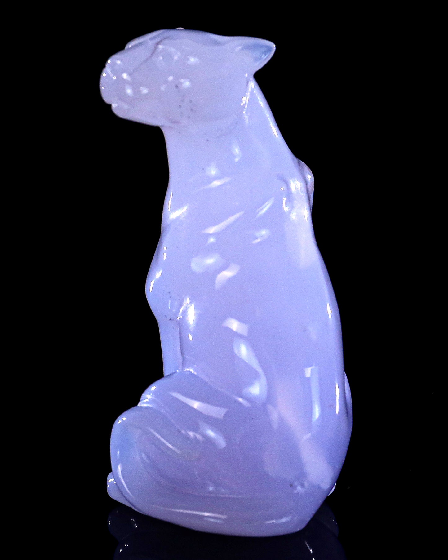 3.0" Blue Chalcedony Hand Carved Crystal Leopard Sculpture