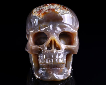 6.1" Red Chalcedony Hand Carved Crystal Geode Skull Sculpture