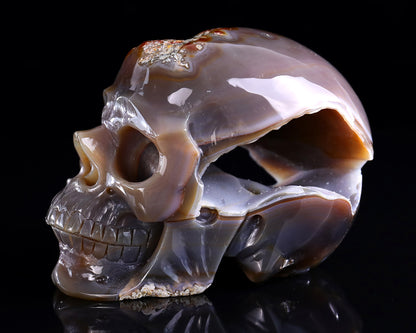 6.1" Red Chalcedony Hand Carved Crystal Geode Skull Sculpture