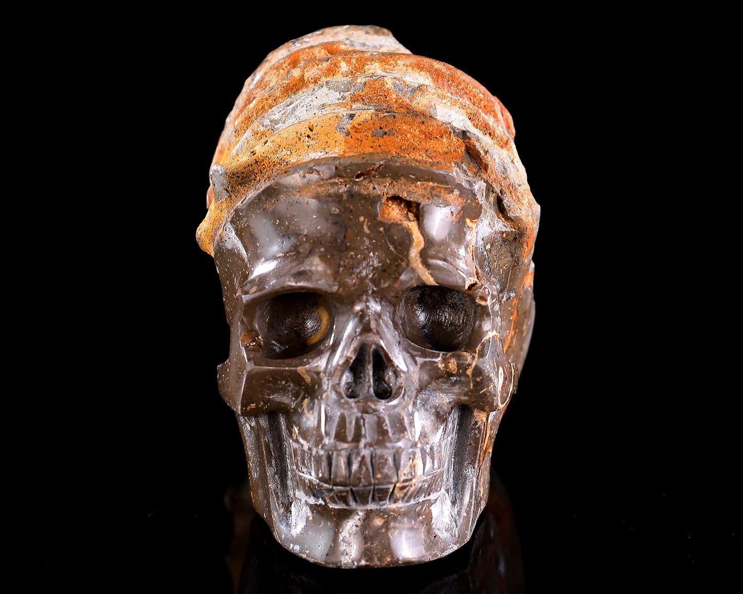 5.6" Foraminifera Fossil Hand Carved Crystal Skull Sculpture