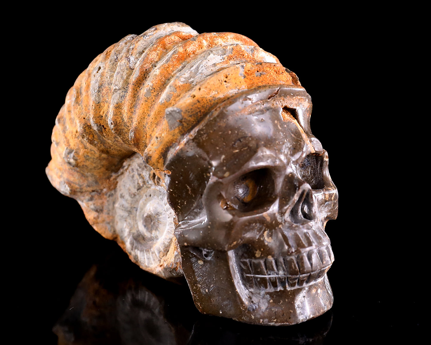 5.6" Foraminifera Fossil Hand Carved Crystal Skull Sculpture