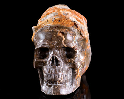 5.6" Foraminifera Fossil Hand Carved Crystal Skull Sculpture