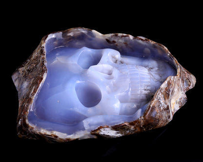 8.2" Blue Chalcedony Hand Carved Mineral Specimen Skull Sculpture